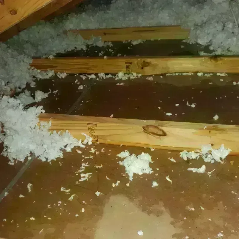 Attic Water Damage in San Carlos, AZ