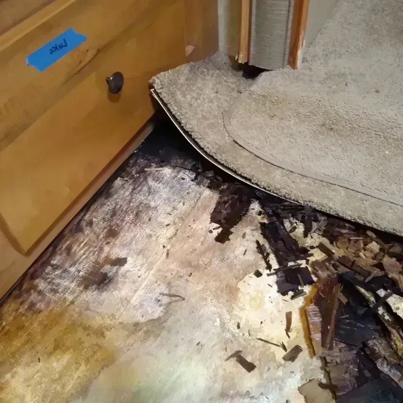 Wood Floor Water Damage in San Carlos, AZ